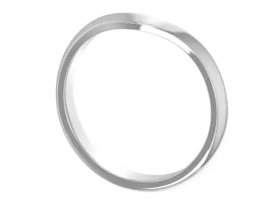 Women Ring  Render 3dm STL OBJ FBX Details 3D print model 214