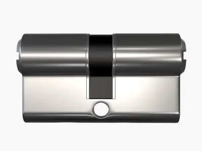 standard door profile cylinder PZ 3D model
