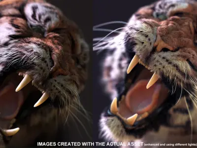  Bengal Tiger ANIMATED XGEN 