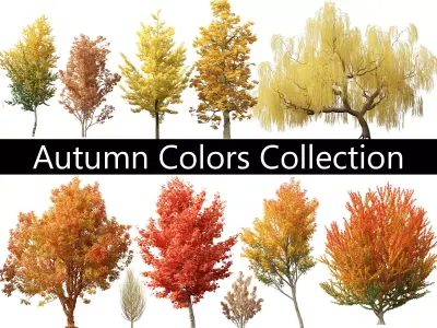 Autumn Colors Collection Pack 06 3D model