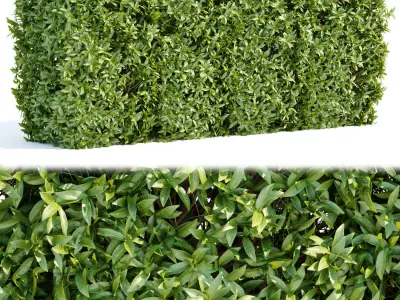 60 Bush models collection vol 10 3D Model 3D Model Pack