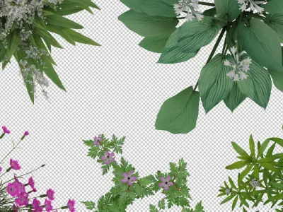 2D Flowers TopViews Collection 15 Layers PNG PSD PDF Texture