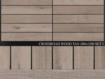 ABK Crossroad Wood Tan 200x1200 Set 1 3D model