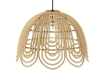 Rattan pendant light flower shape 3D model