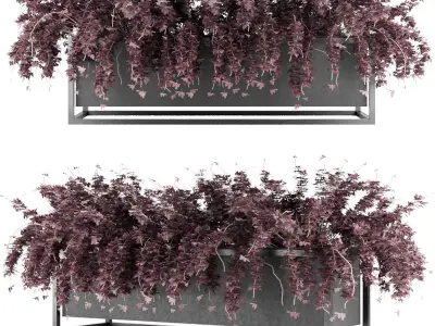 Collection plant vol 15 Free 3D model