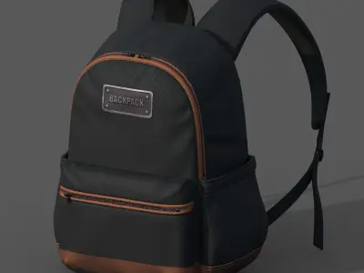 Backpack Camping bag baggage Color 3d low poly  Low-poly 3D model purchase