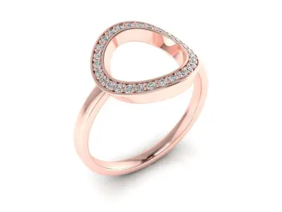 Ring 102 3D print model