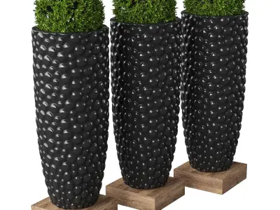 Plant in the pot IV 3D model