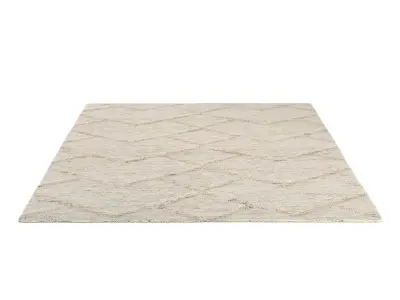  ADHAR JUTE RUG 3D model