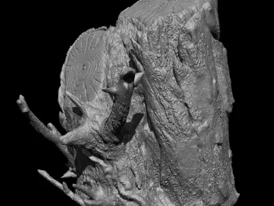Tree Stump - High Poly Sculpt 3D model