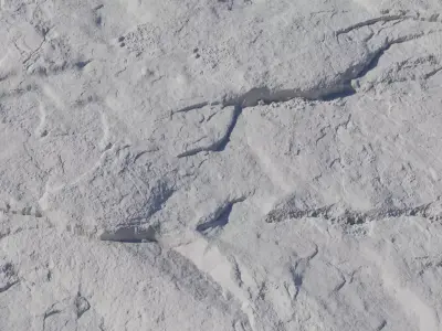 Realistic Mossy Cracked Rock Surface Texture