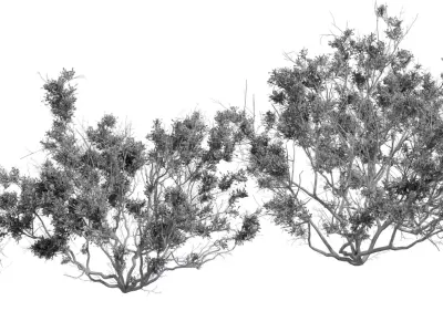 Photorealistic Bush   Shrub 3D Model Pack Low-poly 3D model