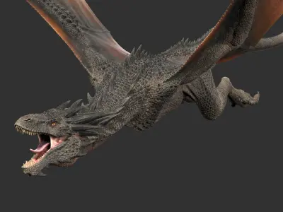  Dragon Black Rigged 