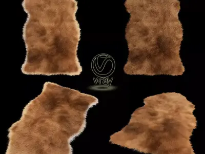 Sheepskin 1 rug 3D model
