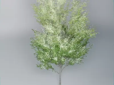 Realistic Deciduous Tree Game-Ready 3D Model 3D model