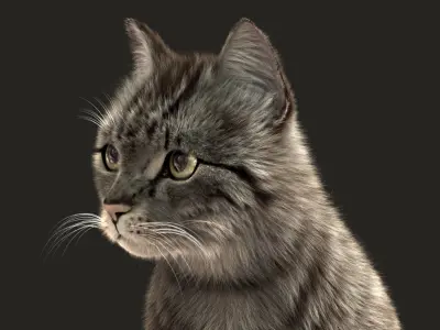  Cat (2) (Grey Tabby) (ANIMATED) (FUR) 