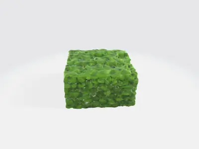 A green cube-shaped hedge bush 3D model