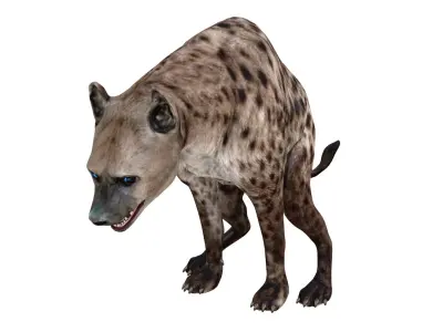  HYENA 