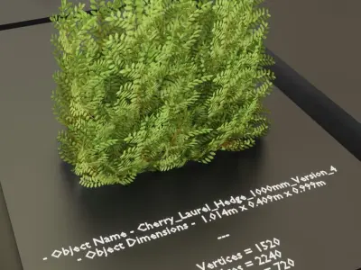 Cherry Laurel Hedge Package  Low-poly 3D model
