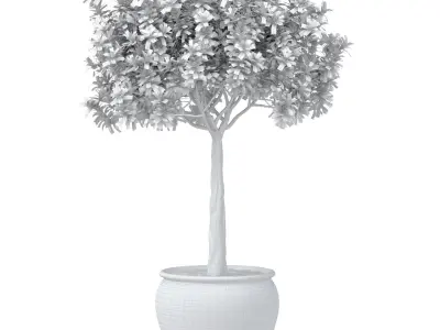 Decorative flowering garden tree shrub in a pot pot vase urn  3D model