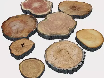 Wood Log Slices 3D model
