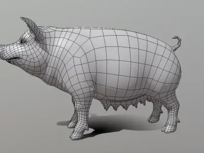 Female Pig BaseMesh - Topology + UV Map