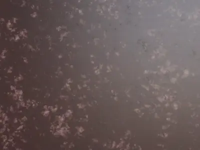 Mottled Mahogany Enamel Texture