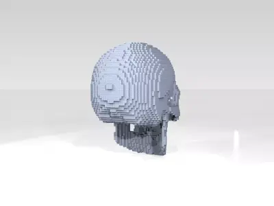 Skull Voxel 3D model