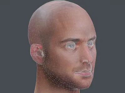 Male head Realistic Perfect Head  Low-poly 3D model