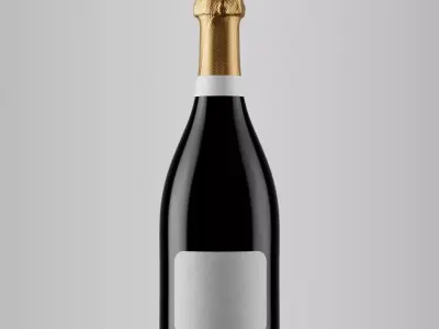 Sparkling Wine Photorealistic Bottle 3D Model Set 3D model
