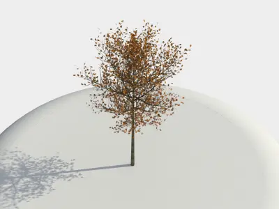 Tree 3D model
