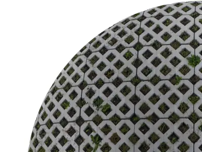 Seamless lawn parking material Texture