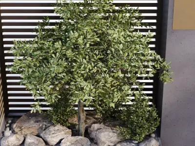 Entrance with plant green set 680 3D model