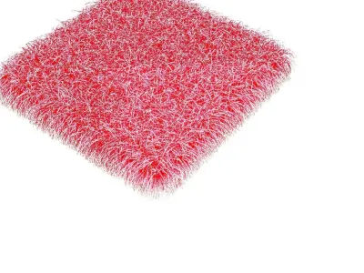 Carpet 3D model