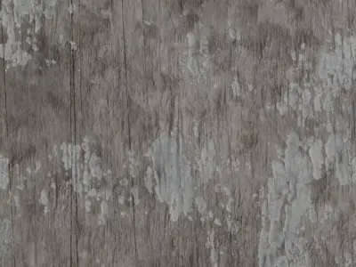  Minimal White Painted Wood with Natural Knots PBR Seamless Texture