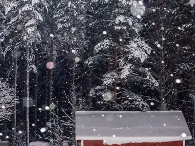 snow farm Scene  Low-poly 3D model