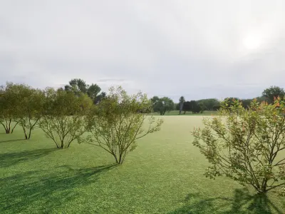 Twinmotion assets Amorpha fruticosa  3D model