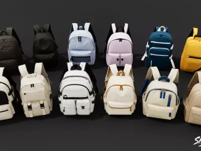 Daily Backpack Pack Low-poly 3D model