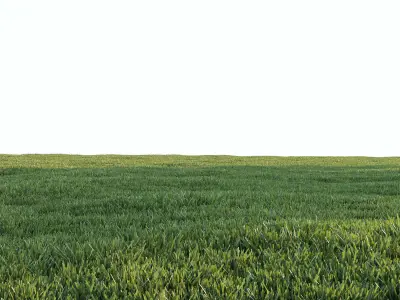 Cut grass for landscape 3D model