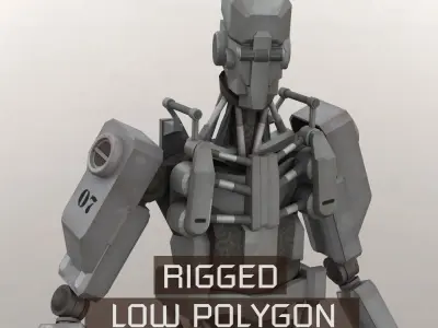 Robots Rigged Low Poly 3D Model Pack