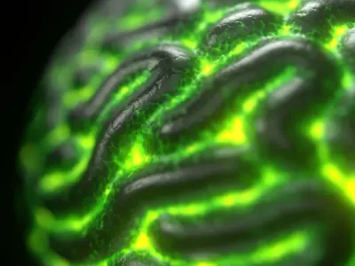 Artificial Brain for Sci-Fi scenes 4K PBR textures Low-poly 3D model