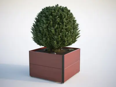 Spherical bush in a pot 3D model