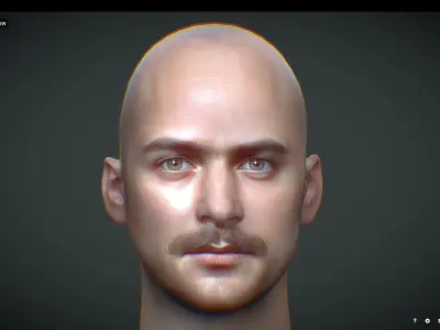 Male head Realistic Perfect Head Low-poly 3D model
