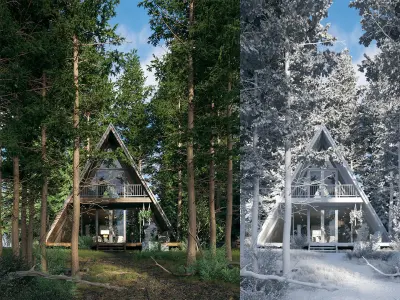 V-Ray 6 Forest House - Materials - Trees and Lighting 3D model