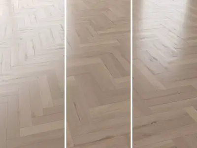 Parquet Oak Vergne Brushed set 2 3D model