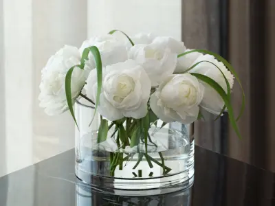 White Peonies 3d Model for 3ds Max V-ray and Corona 3D model