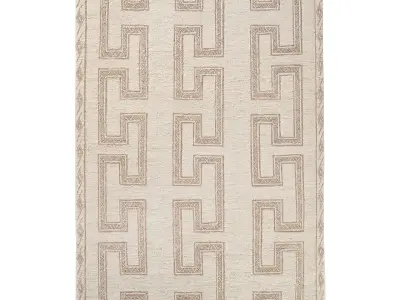 ANIKET JUTE RUG 3D model