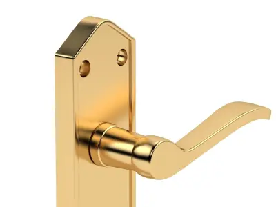 Paris Door Handles Polished Brass 3D model