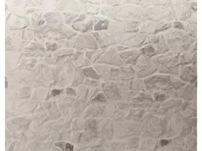 Stone Masonry Wall 06 Texture