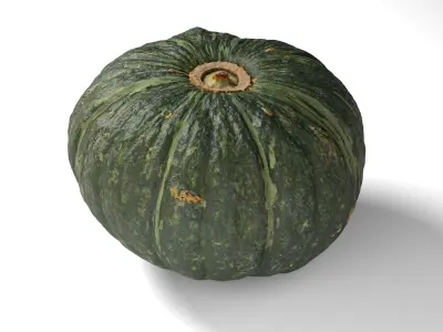 Green Japanese Pumpkin - Photorealistic  Scan Low-poly 3D model